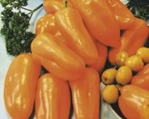 Перец Апельсин