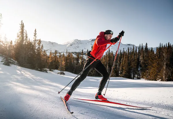 Как выбрать палки для беговых лыж: полное руководство