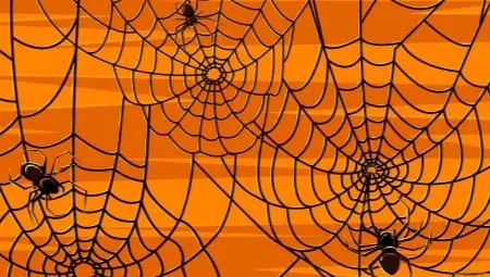 Как и из чего сделать паука и паутину на Хеллоуин?