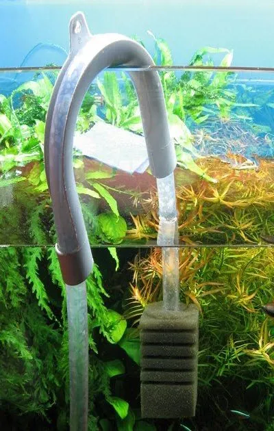 Замена воды в аквариуме - фото