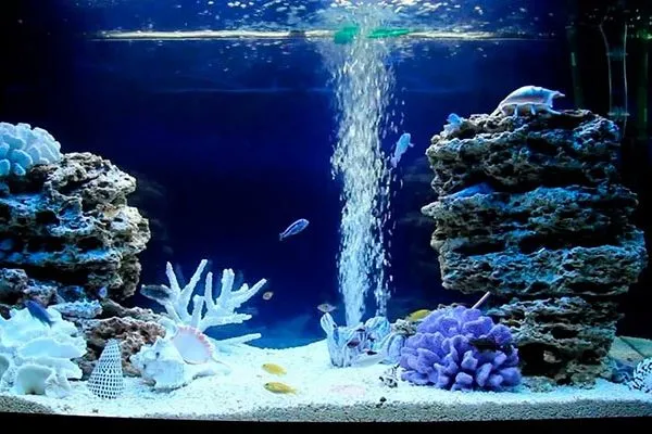 Псевдоморской аквариум