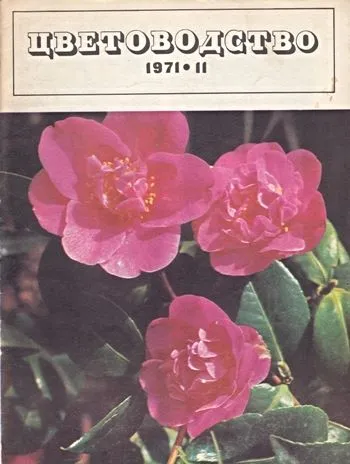 Обложки старых номеров журнала «Цветоводство»