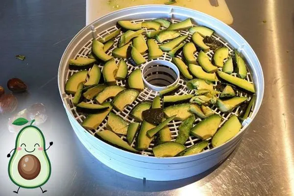 как высушить авокадо